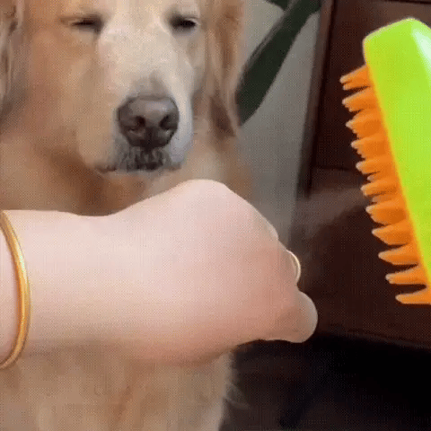 🐾CEPILLO A VAPOR SUPREME CARE. EL CAMBIO DE IMAGEM DEFINITIVO PARA EL BIENESTAR Y LA ELEGANCIA DE SUS AMIGOS PELUDOS🐾