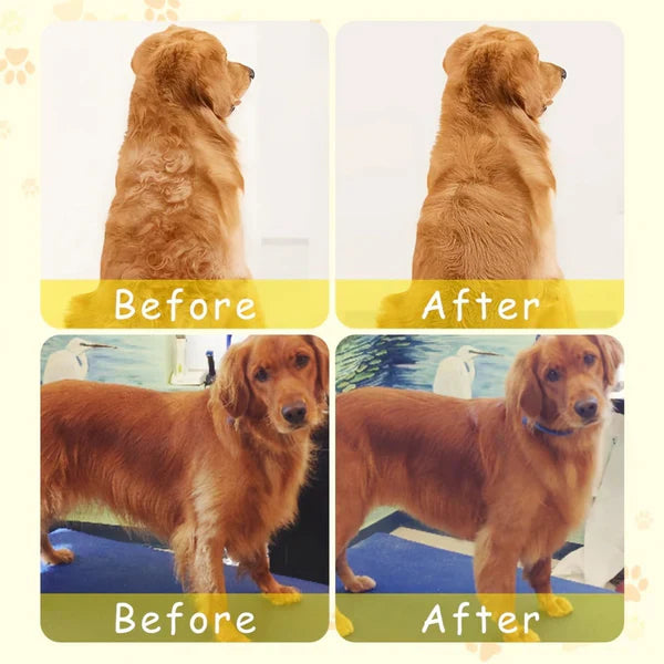 🐾CEPILLO A VAPOR SUPREME CARE. EL CAMBIO DE IMAGEM DEFINITIVO PARA EL BIENESTAR Y LA ELEGANCIA DE SUS AMIGOS PELUDOS🐾