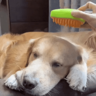 🐾CEPILLO A VAPOR SUPREME CARE. EL CAMBIO DE IMAGEM DEFINITIVO PARA EL BIENESTAR Y LA ELEGANCIA DE SUS AMIGOS PELUDOS🐾